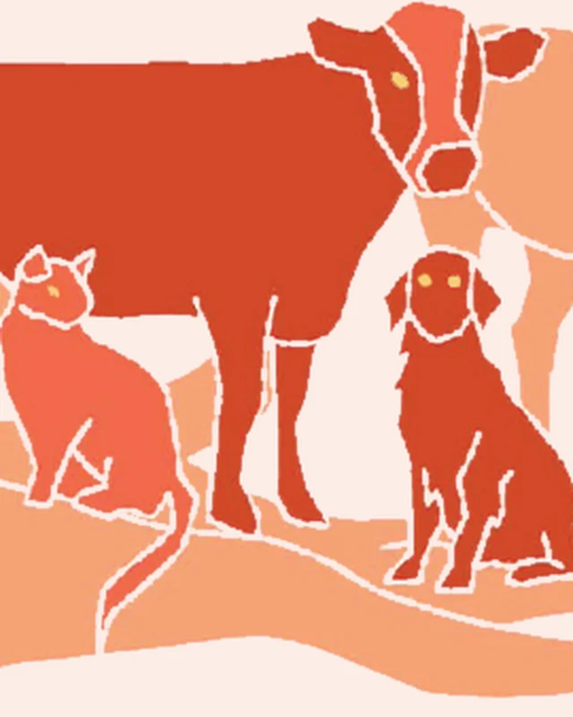 Illustration d’un chien et d’un chat – ostéopathie canine et féline Illustration – Chiens et chats