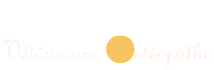 Léa Weinhard, vétérinaire ostéopathe