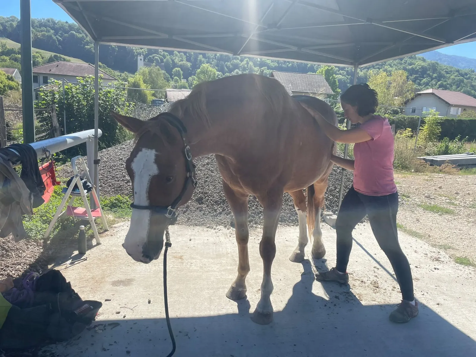 Ostéopathie équine en Savoie Léa Weinhard, vétérinaire ostéopathe, en séance avec un cheval alezan en Savoie